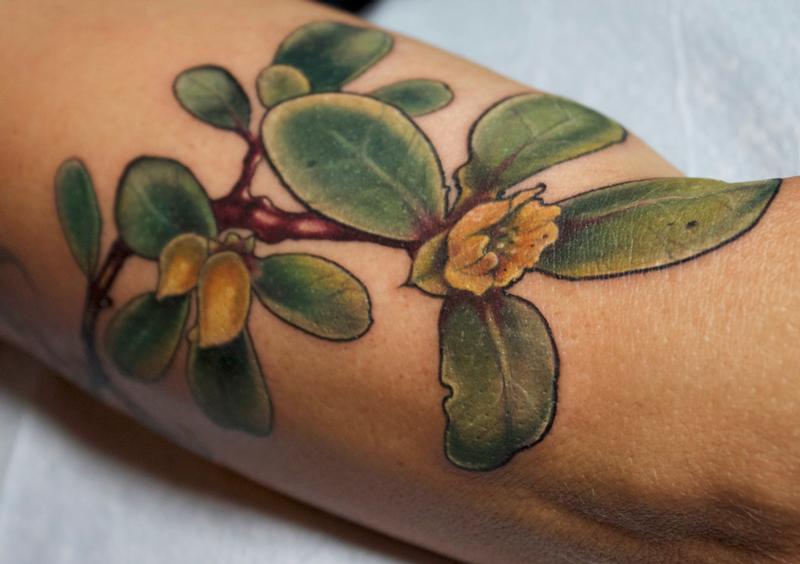 1. Small Succulent Tattoo Designs - wide 5