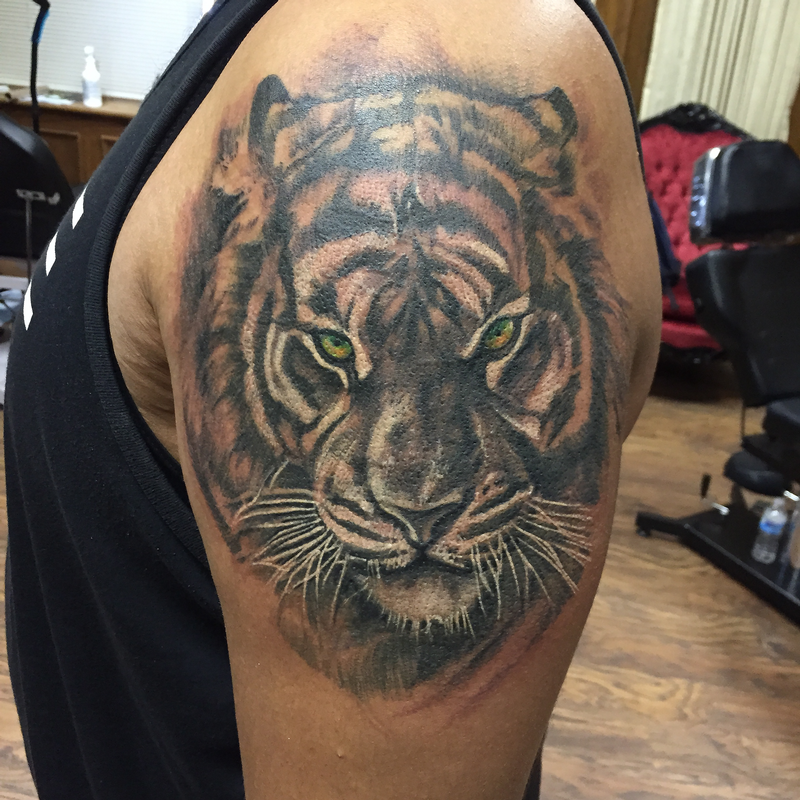 Dark Age Tattoo Studio Tattoos Coverup Black and Grey Tiger