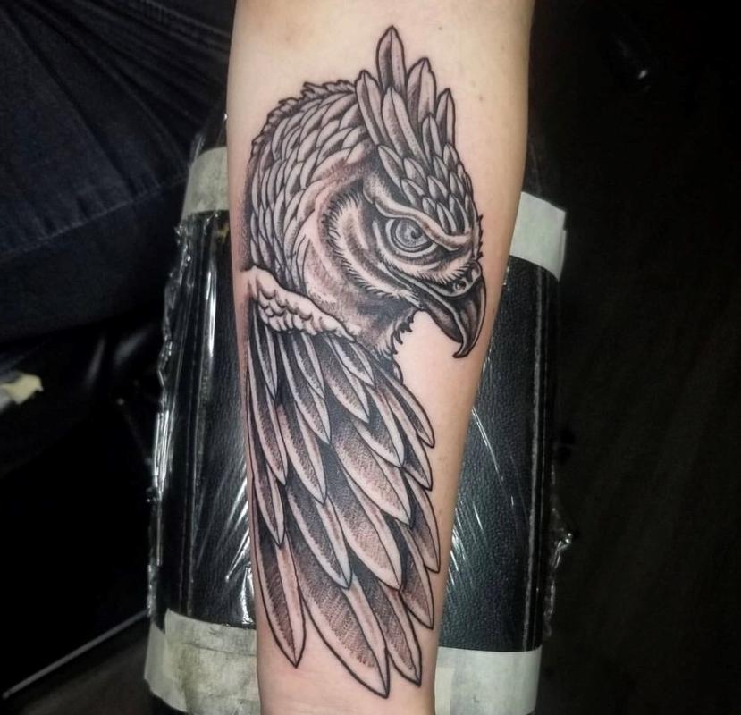 Painted Temple : Tattoos : Animal : Cody Cook Harpy Eagle