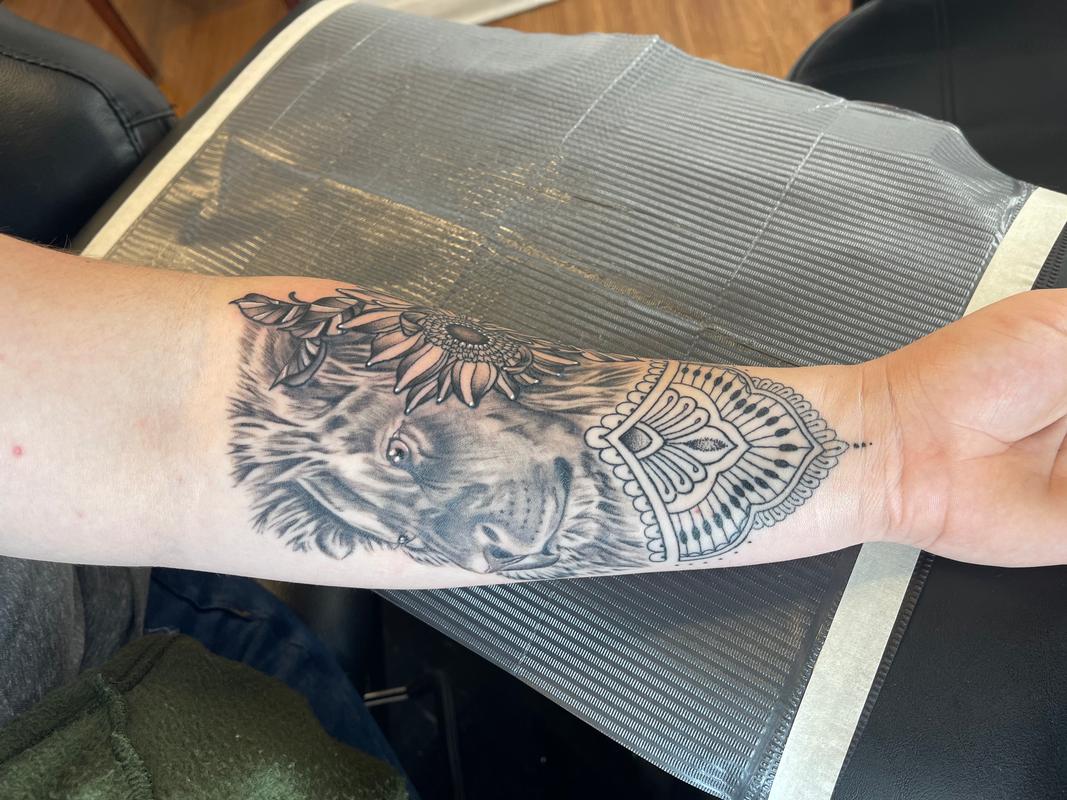 Art Immortal Tattoo : Tattoos : Black and Gray : Lion ornamental