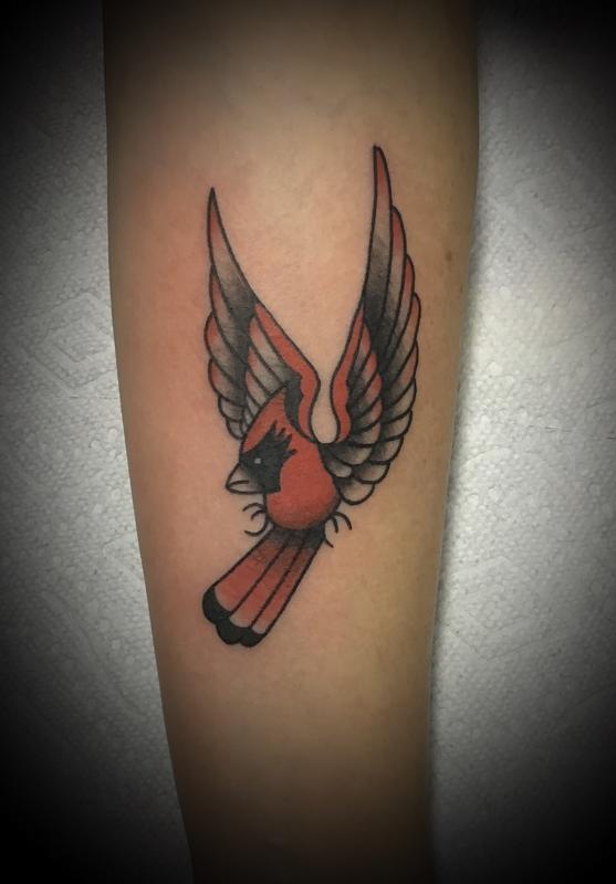 Art Immortal Tattoo : Tattoos : Small : Cardinal Tattoo traditional