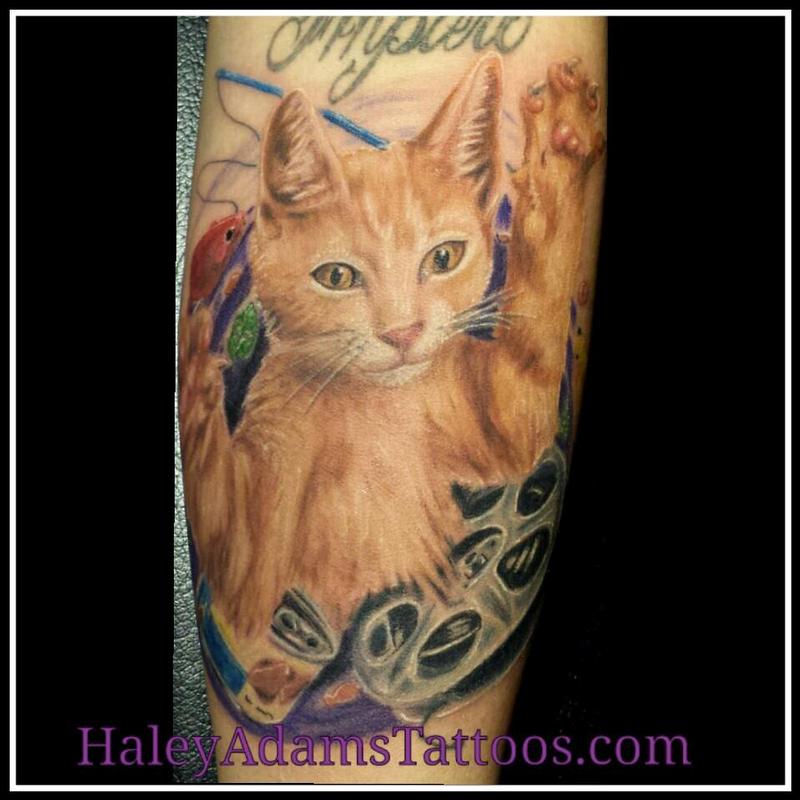 Haley Adams Tattoo : Tattoos : Animal : Ziggy the cat as a kitten