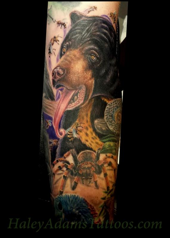 Haley Adams Tattoo : Tattoos : Nature Animal Bear : sun bear and tarantula  tattoo