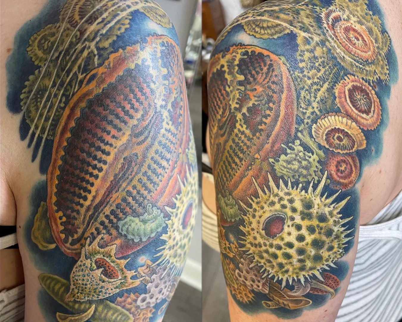 sea creatures or viruses, I can't really tell what's going on in this tattoo