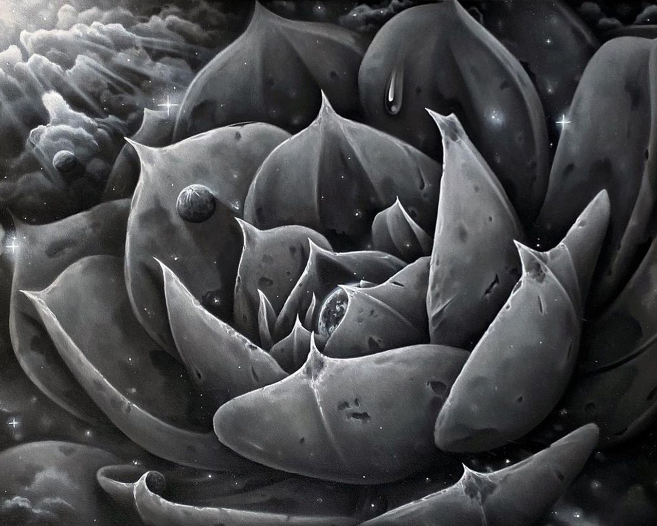 black and grey succulent oil painting