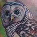 Tattoos - Barred Owl - 92158