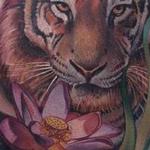 Tattoos - Tiger and Lotus - 106129