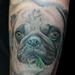 Tattoos - Pug Portrait - 88962