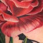 Tattoos - Pink Rose - 108723