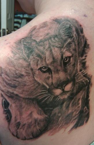 Mountain Lion Tattoos - Bing Images | Elephant tattoos, Lion tattoo, Wolf  tattoos men