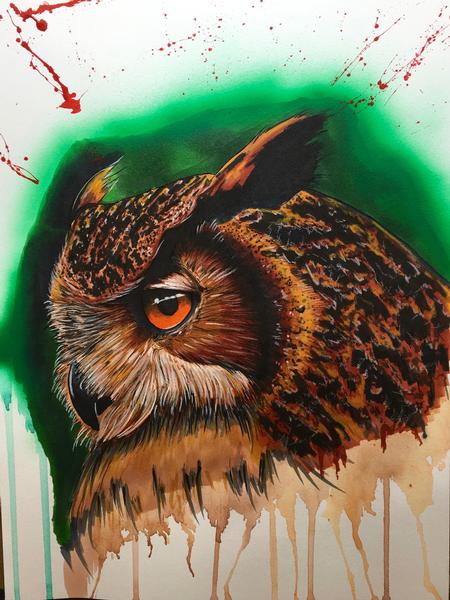 Art Galleries - Owl  - 114338
