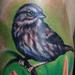 Tattoos - Bird and Flower Tatto - 85722