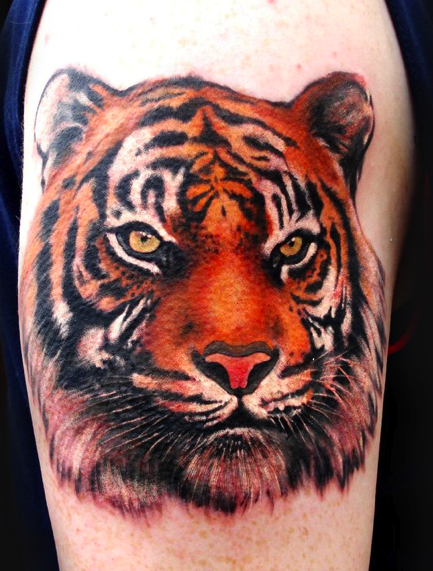 5pcs/set Tattoo Waterproof Cute Tiger Arm Herbal Tattoo Sticker Animal  Funny Tattoo Sticker Temporary Tattoos for Men Women - AliExpress