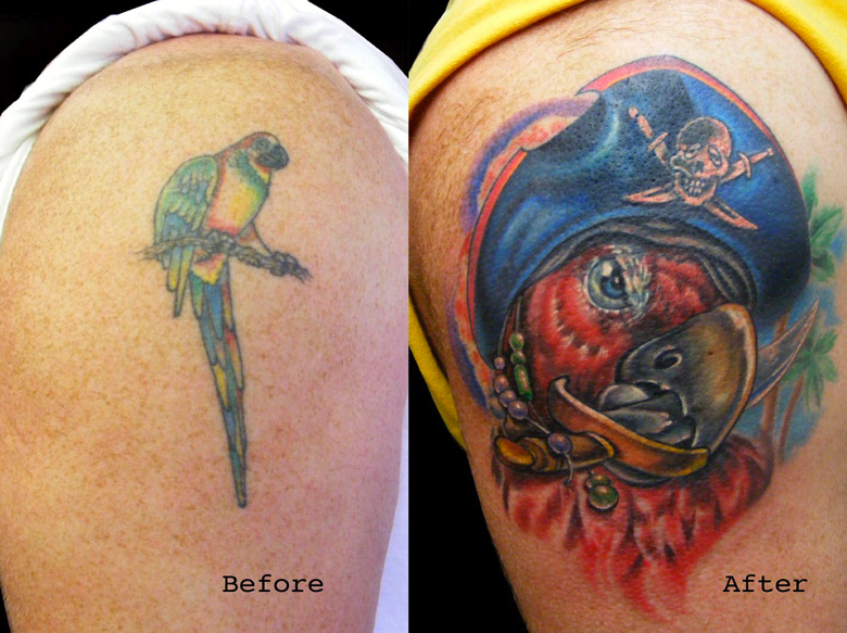 parrot tattoo traditionalTikTok Search