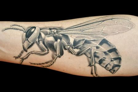 Wasp Tattoo Free Vector and graphic 53586444.