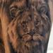 Tattoos - Black and Gray Animal Portraits - 58335