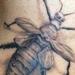 Tattoos - Black and Gray bug tattoo - 58337