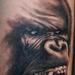 Tattoos - Gorilla Portrait Tattoo - 58331