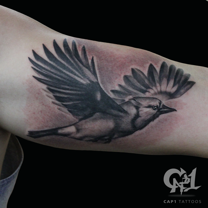 Flying Blue Jay by Capone: TattooNOW