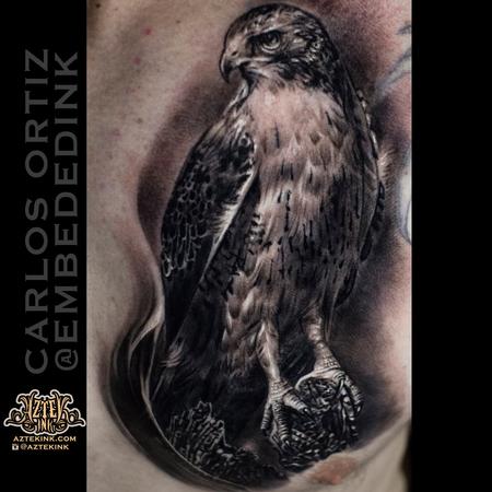 Hawk tattoo by Austin