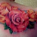 Tattoos - Roses - 50232