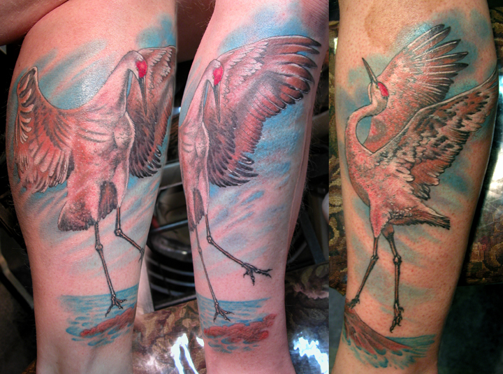 Florida Sandhill Crane shoryuken watercolor tattoo tattoos inked  colortattoos goliathneedles hivecaps systemonetattooproducts   Instagram