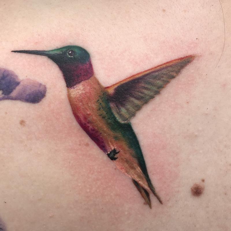 Realistic Hummingbird Tattoos - Temporary Tattoo Hummingbird and Flowers Waterproof Ultra ... / Watercolor tattoos are getting more popular these past few years, especially among women.