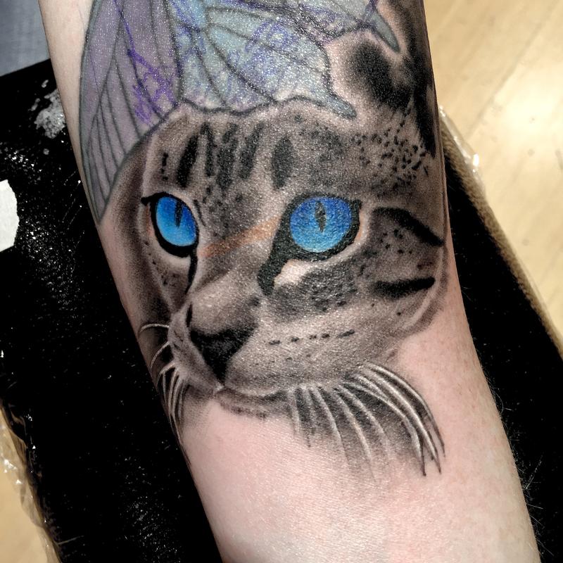 Tabby cat with Radiant eyes by Eddie Zavala TattooNOW