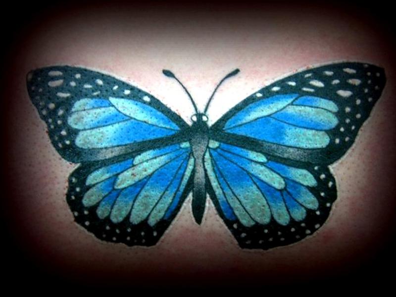 تويتر  Painted People Tattoo Studio على تويتر A lovely colourful tattoo  done by brett tattoo tattooist tattooartist butterfly glasseffect  mosaic colourfultattoo brightandcolourful beautifulbutterfly ink  inked inkedup httpstco 