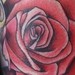 Tattoos - Rose Tattoo - 50599