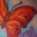Tattoos - Butterfly and Flowers - 49897