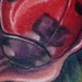 Tattoos - Ladybird Detail - 44323