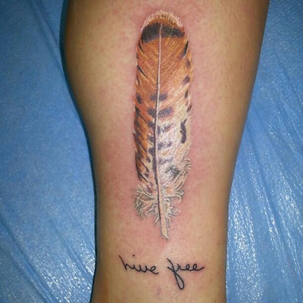 daisylutattoo on Twitter Red tail hawk feather i got to do a couple of  days ago             hawk redtailhawk feather  feathertattoo 