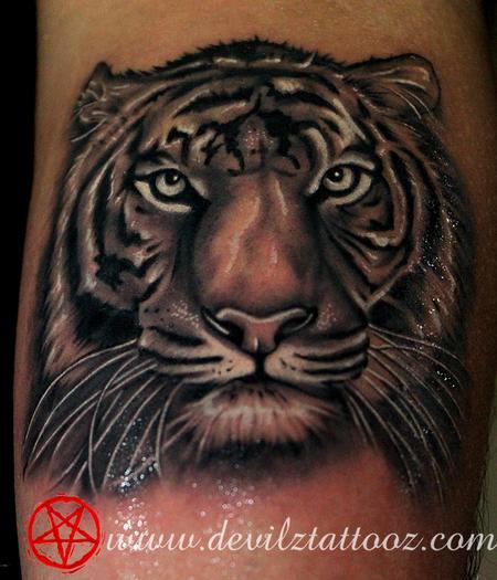Realistic tiger tattoo in black and gray | Tiger tattoo, Tattoos, Tattoo  studio