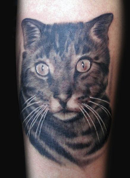 Cat Portrait Tattoo by Diego: TattooNOW