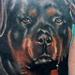 Dog Memorial  Tattoo Design Thumbnail