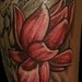 Tattoos - koi - 47461