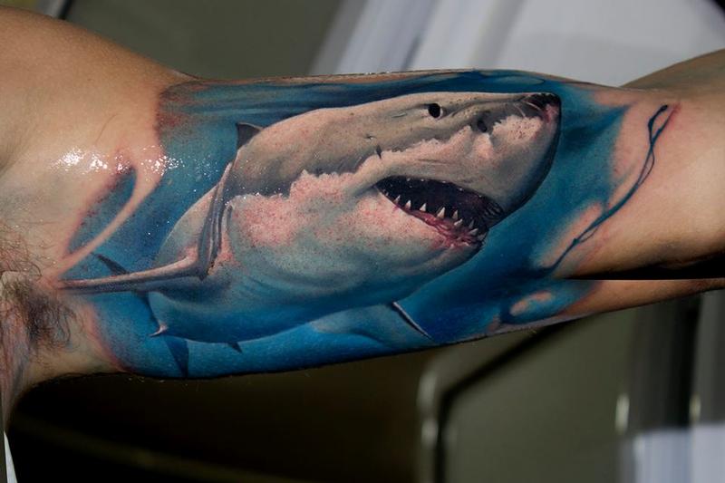 Tiger Shark Tattoo  Abington Town of  Book Online  Prices Reviews  Photos