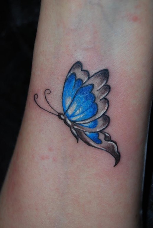 11 Sideview butterfly tattoo ideas  butterfly tattoo small butterfly  tattoo butterfly tattoo designs
