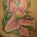 Tattoos - Lily Tattoo - 36672