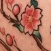 Tattoos - Cherry blossoms - 48322