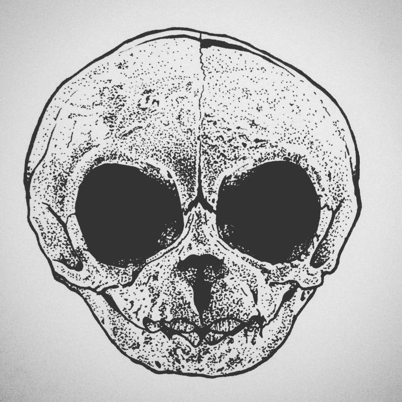 Rhesus Monkey Baby Skull ink drawing by Ben Licata: TattooNOW