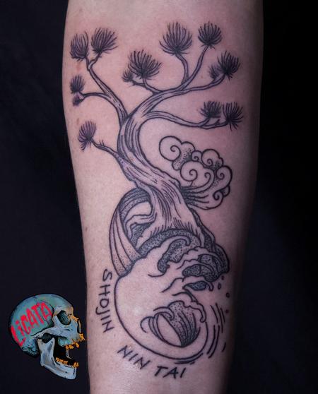 The sweetest little Melbourne memory. Micro bonsai tree. #tattoo . . . . .  . . . . . . . . . . #tattoos #tattooed #tattooart #tattooarti... | Instagram