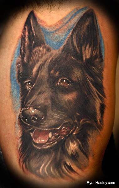 15 Stylish Tattoo Ideas For German Shepherd Lovers  PetPress