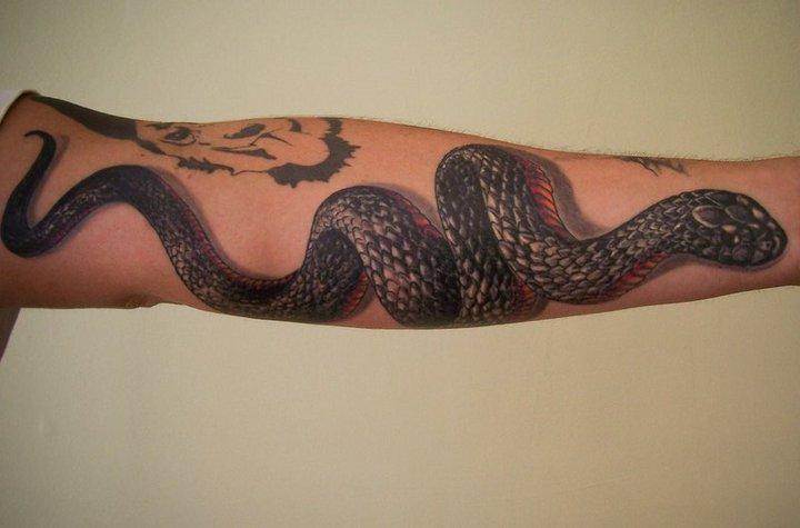 Amazoncom  PUSNMI Cool Snake Temporary Tattoo Halloween Sexy Snake  Realistic Tattoos for Men Women Waterproof Temporary Tattoos Custom  Temporary Tattoos Kit for Arm Hand Leg Wrist for Party  Beauty 