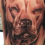 Tattoos - Pit bull dog portrait - 127357