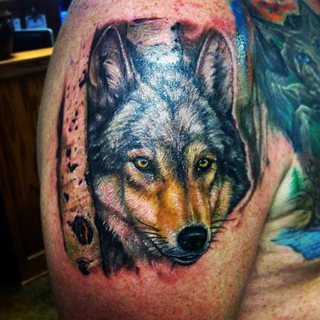 Wolf portrait by Zach Potter (fatpotts) at Back Alley Tattoos in Morehead,  KY : r/tattoos