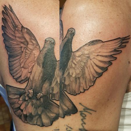 pigeon tattoo old school 4615896 Vector Art at Vecteezy