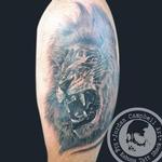 Tattoos - lion coverup - 117894