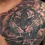 Tattoos - Tiger - 116896